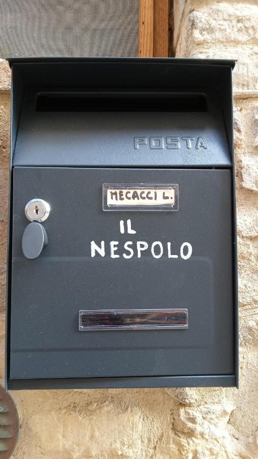 Appartamento Il Nespolo San Gimignano Exterior foto